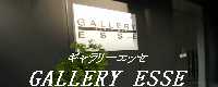 gallery banner(jpg).jpg