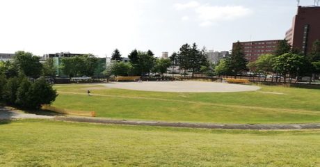 公　園